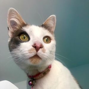 Meet your Posher, Kate